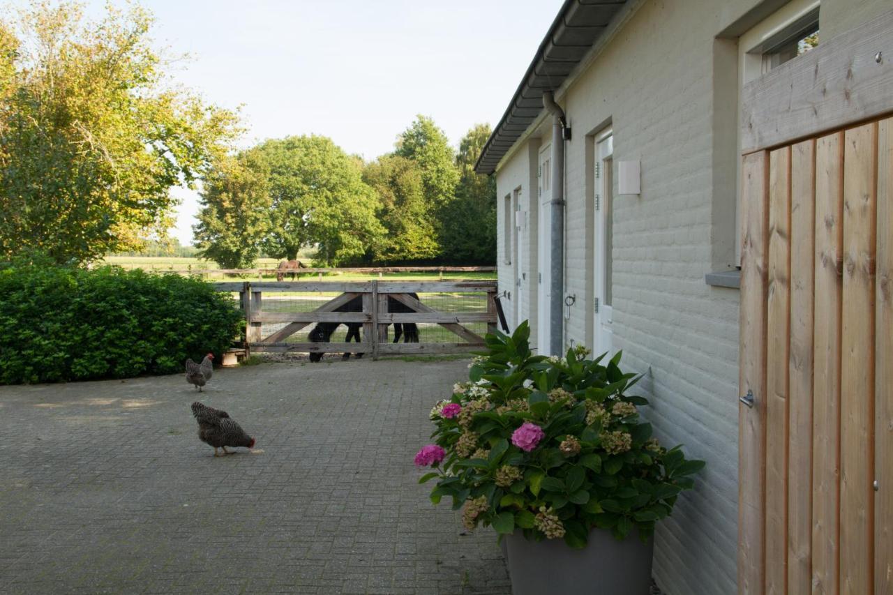 Het Rooversnest Riel Buitenkant foto