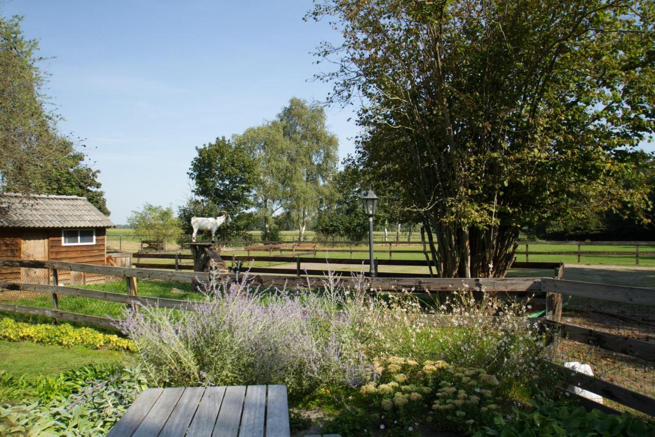 Het Rooversnest Riel Buitenkant foto